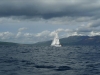 l1030625