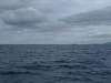 l1030640
